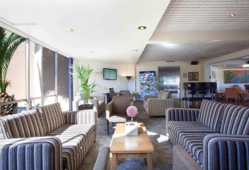 اتاق استاندارد, Auckland Airport Kiwi