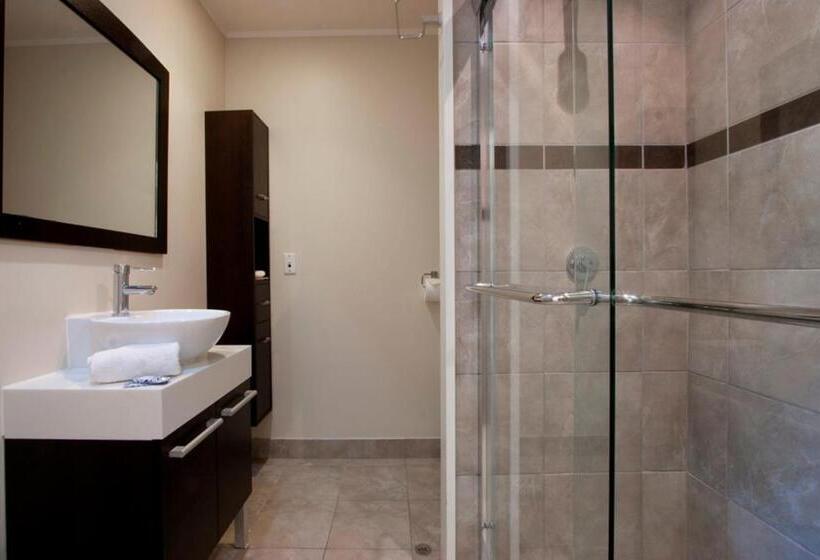 اتاق پرمیوم, Auckland Airport Kiwi