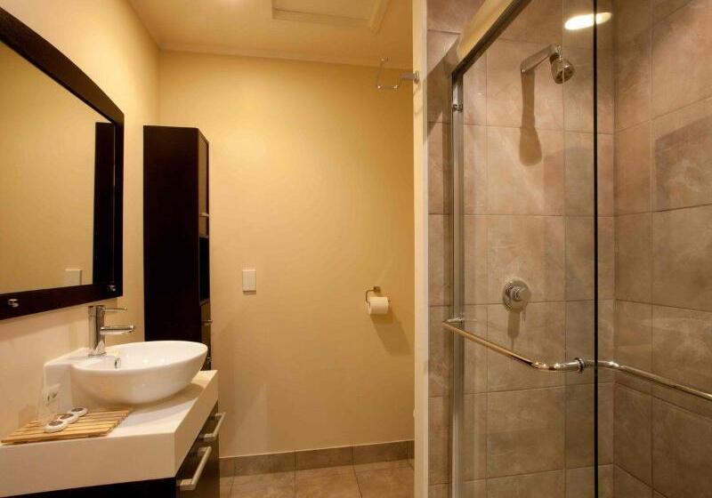 اتاق استاندارد, Auckland Airport Kiwi