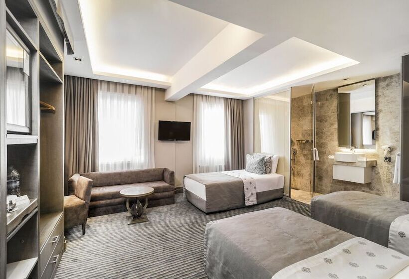 スタンダードトリプルルーム, Grand Beyazit Hotel Old City