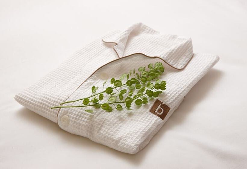 Standart Oda, The B Akasaka