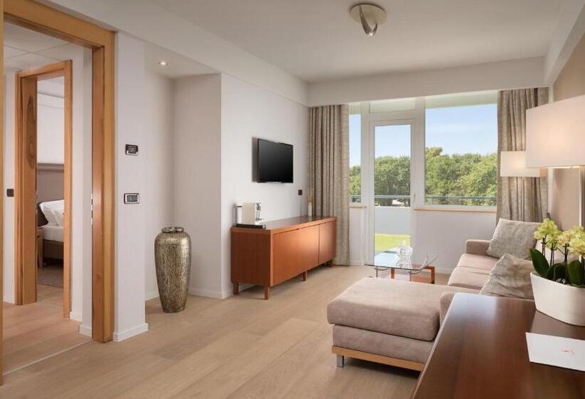 高级套房, Pelegrin Plava Laguna