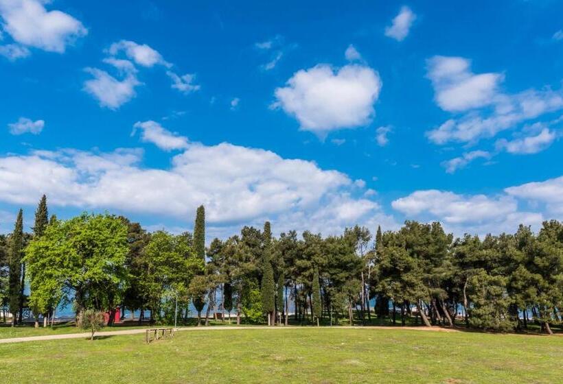 带双人床的经典房间, Pelegrin Plava Laguna