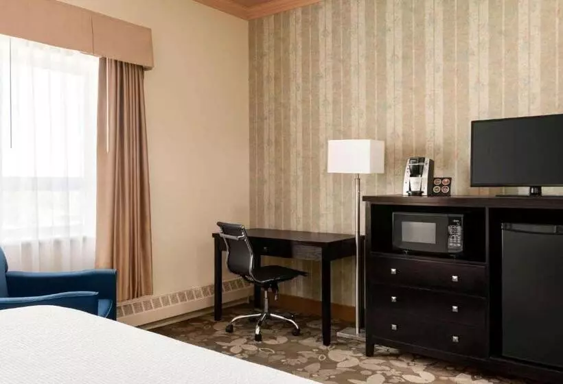 اتاق استاندارد با تخت بزرگ, Nova Inn Yellowknife