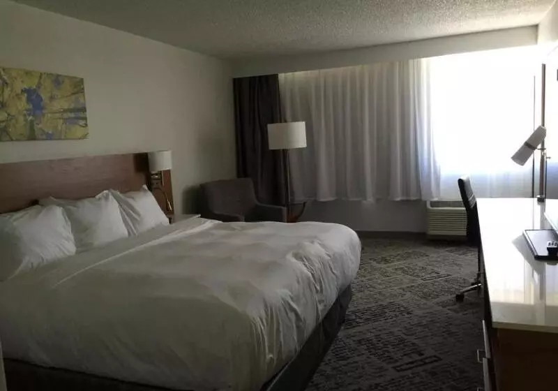 スタンダードルーム, Plaza Hotel Denver