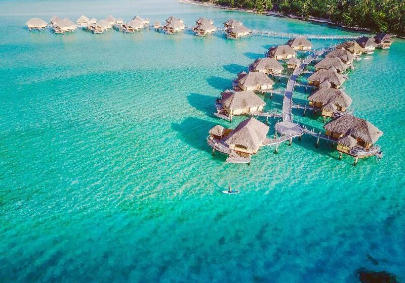 غرفة بريميوم مطلّة علي البحر, Taj Malabar Resort & Spa, Cochin