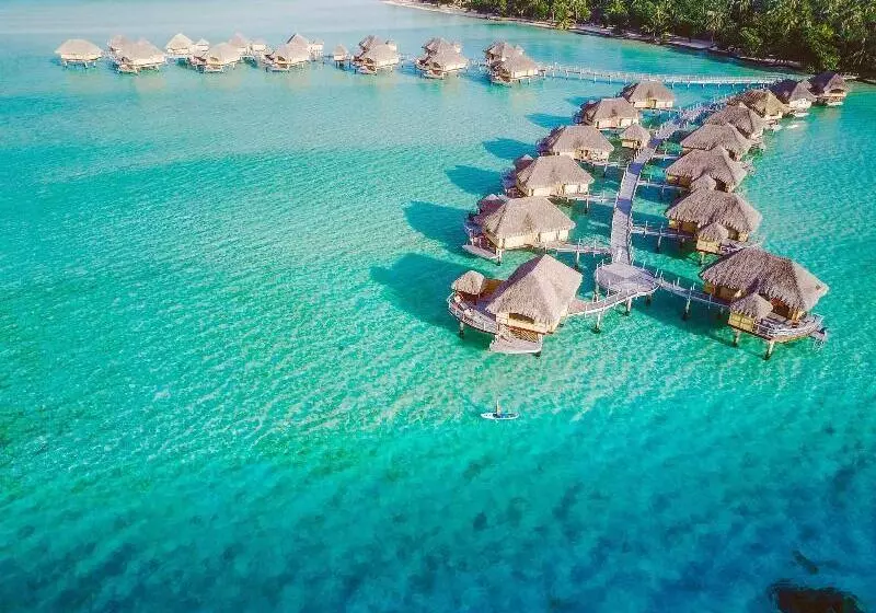 オーシャンビューのプレミアムルーム。, Taj Malabar Resort & Spa, Cochin