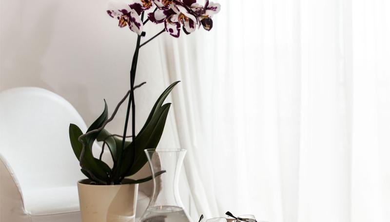 חדר סטנדרט, Capinera