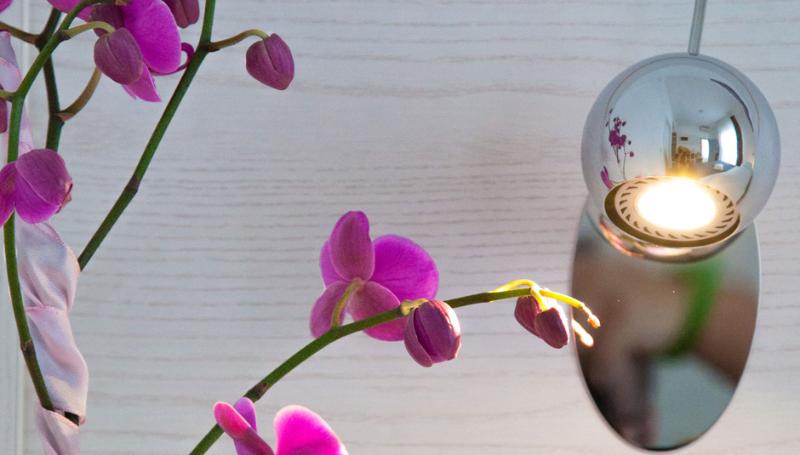 חדר סטנדרט לשלושה, Capinera