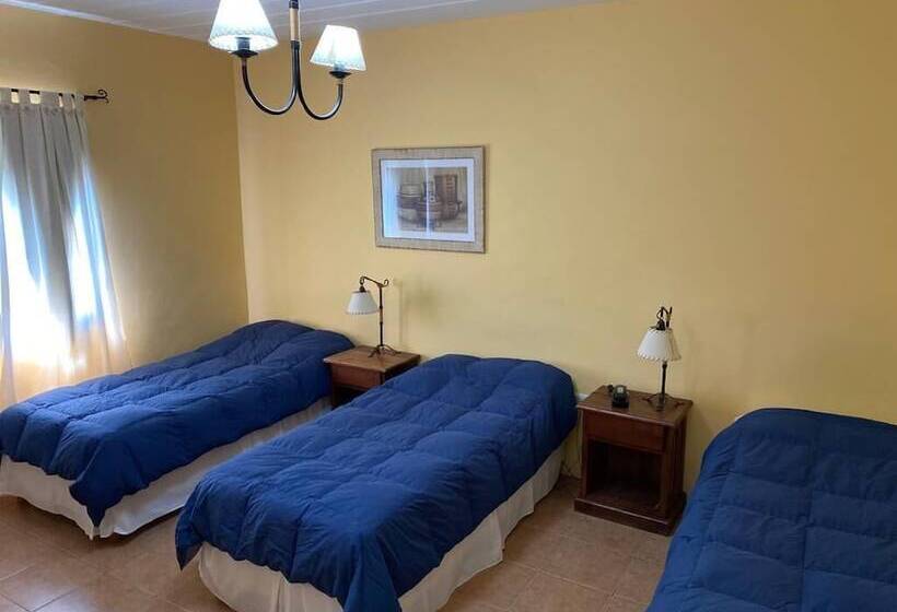 اتاق استاندارد سه نفره, Glaciares De La Patagonia