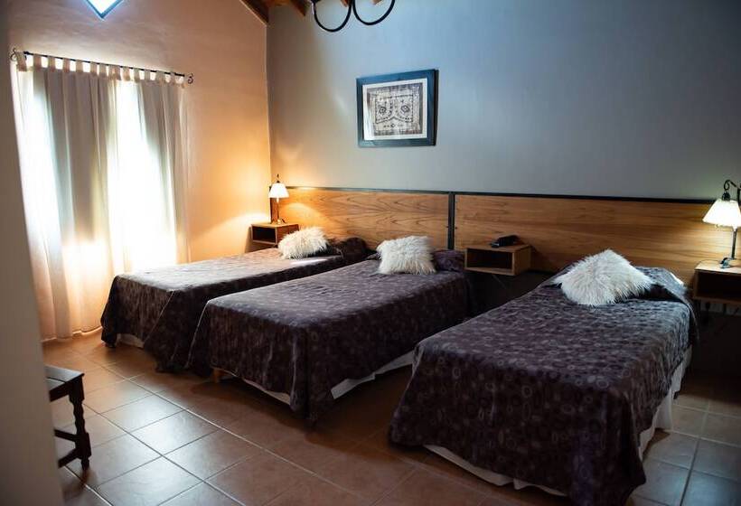 اتاق استاندارد سه نفره, Glaciares De La Patagonia