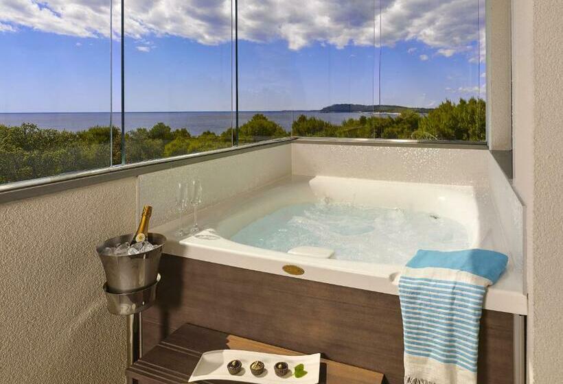 디럭스 스위트 바다 전망, Park Plaza Arena Pula