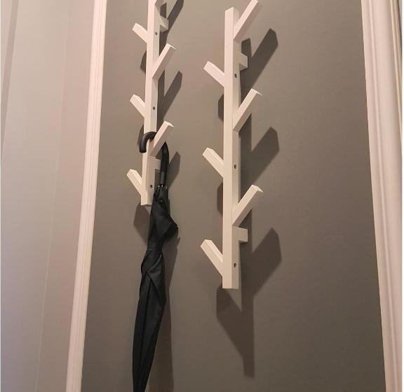 Номер Стандарт, Boavista