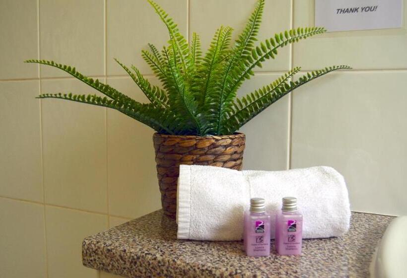 غرفة قياسية, Bridge Of Cally