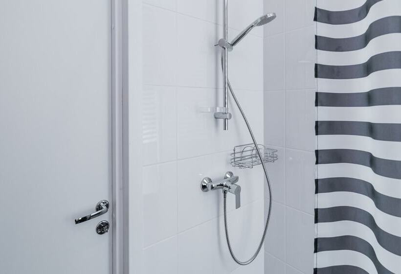 スタンダードルーム, Nevsky Aster