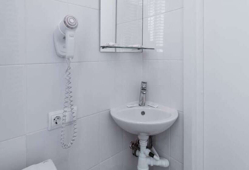 スタンダードルーム, Nevsky Aster