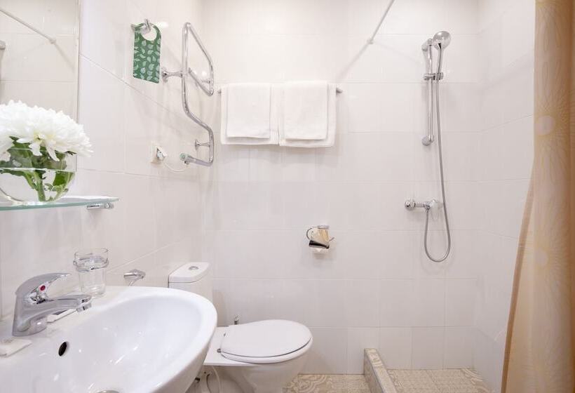 スタンダードルーム, Nevsky Aster