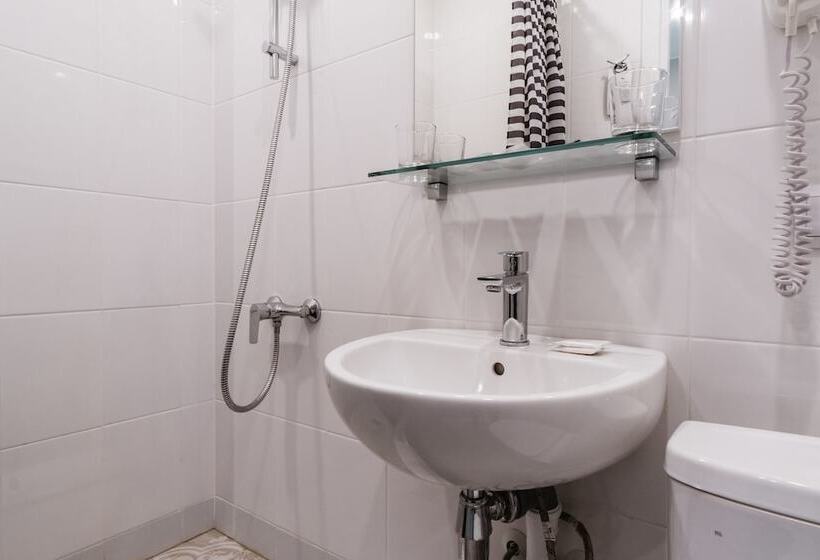 スタンダードルーム, Nevsky Aster