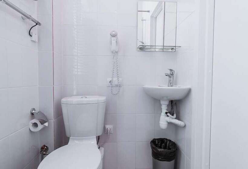 スタンダードルーム, Nevsky Aster