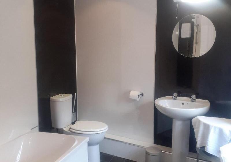 标准间, The White Stag