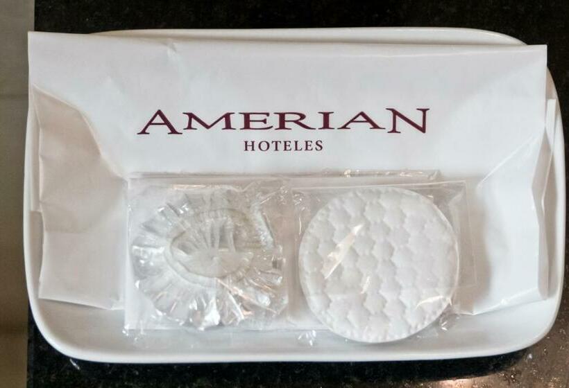 غرفة ديلوكس, Amérian Executive Hotel Mendoza