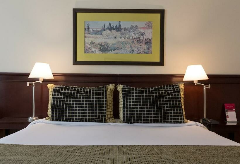 豪华房间, Amérian Executive Hotel Mendoza