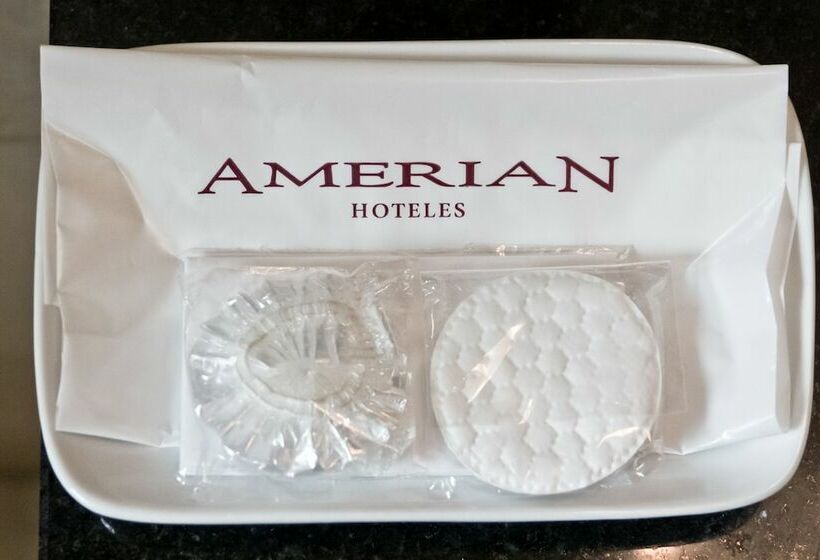 غرفة ديلوكس, Amérian Executive Hotel Mendoza