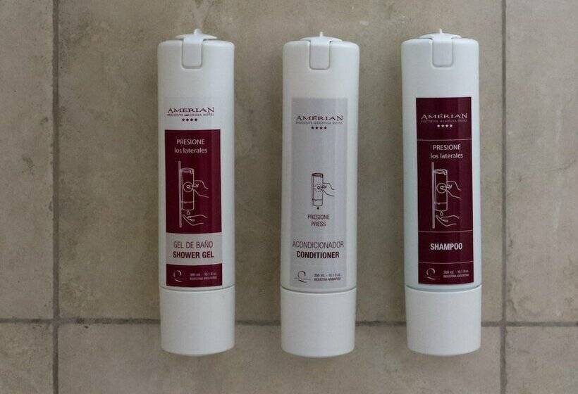 غرفة ديلوكس, Amérian Executive Hotel Mendoza