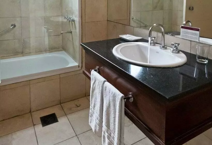 اتاق لوکس, Amérian Executive Hotel Mendoza