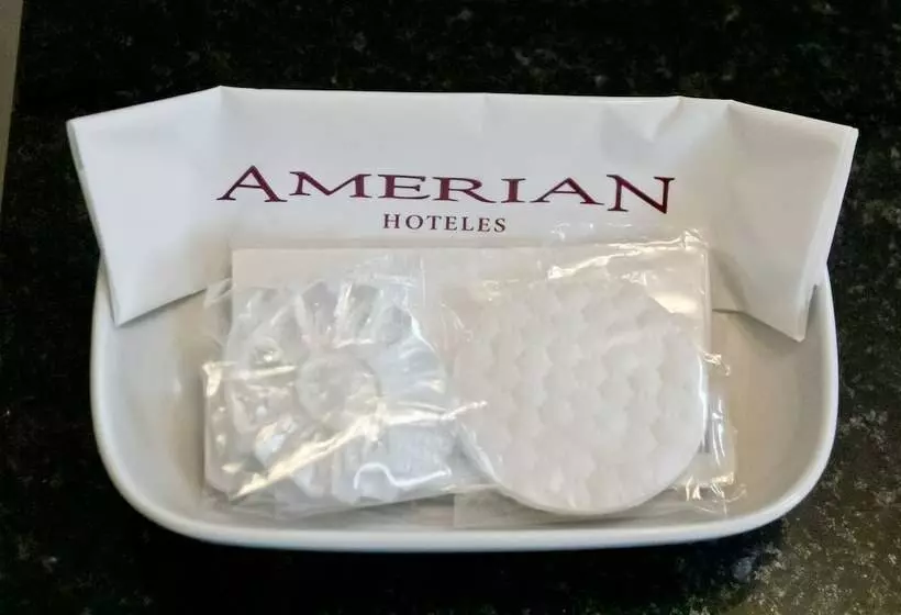 سوئیت پریمیوم, Amérian Executive Hotel Mendoza