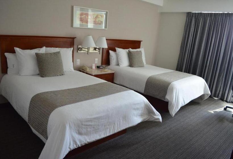 スタンダードルーム, Casa Inn Business Hotel Celaya