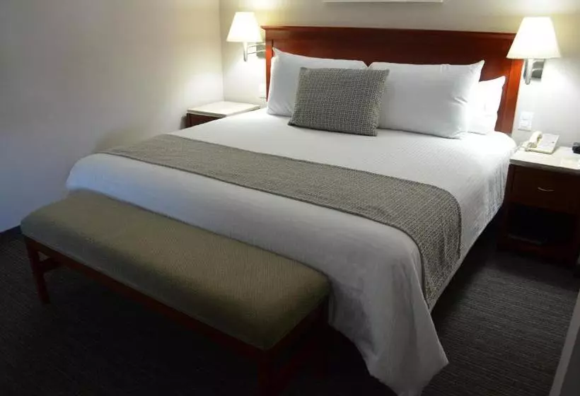 Juniorsviitti, Casa Inn Business Hotel Celaya