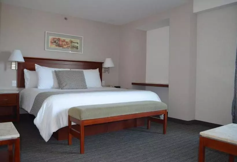 Juniorsviitti, Casa Inn Business Hotel Celaya