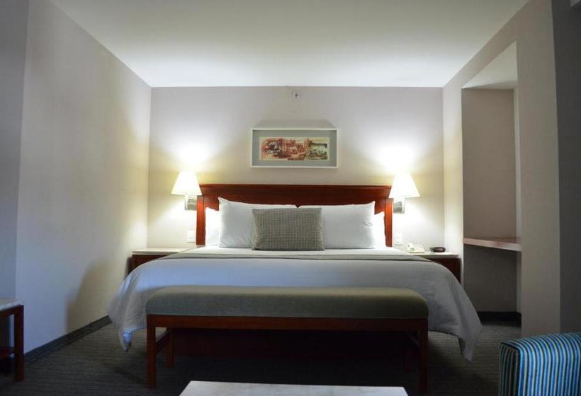 ジュニアスイート, Casa Inn Business Hotel Celaya