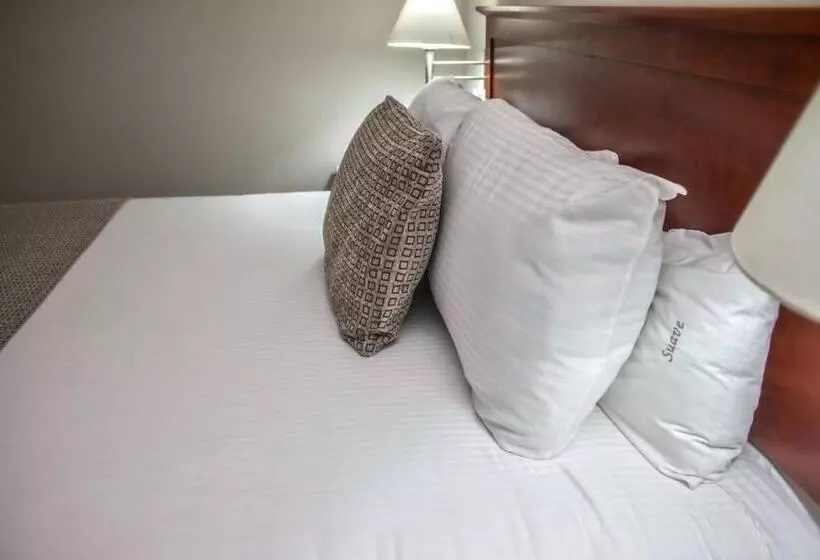 Sviitti, Casa Inn Business Hotel Celaya