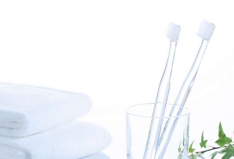 스탠다드 룸, Comfort Hotel Akita