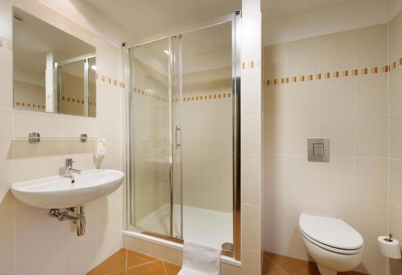 اتاق استاندارد, Congress & Wellness Hotel Olsanka