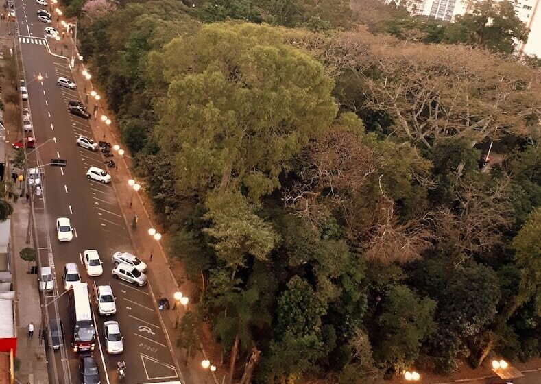 标准间, Crillon Palace