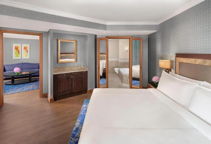 テラス付きスタンダードワンルーム, Divan Ankara