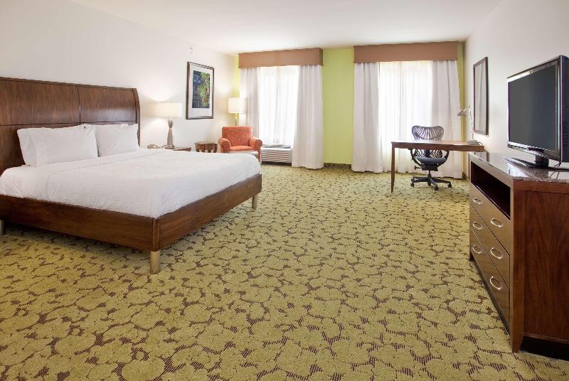 غرفة قياسية سرير كينج لذوى الإحتياجات الخاصة, Hilton Garden Inn Boca Raton