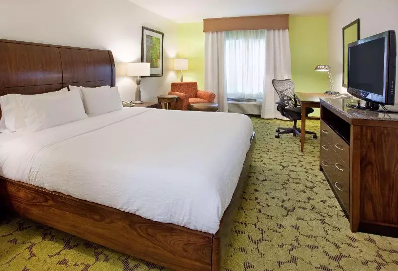 キングサイズベッドのスタンダードルーム, Hilton Garden Inn Boca Raton
