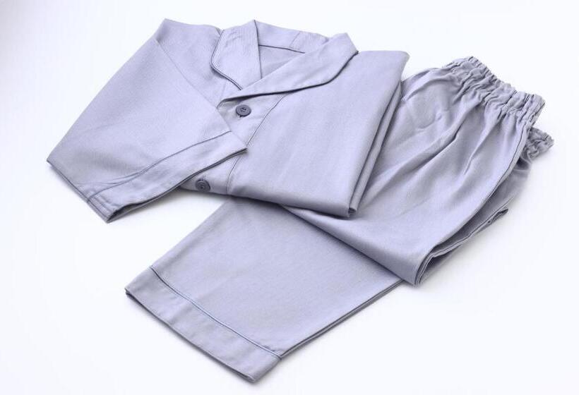 스탠다드 싱글 룸, Nikko Nara