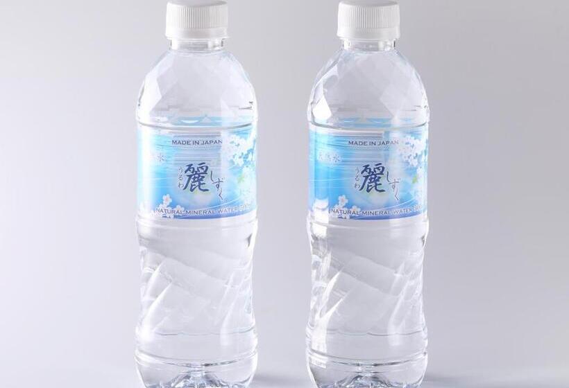 스탠다드 싱글 룸, Nikko Nara