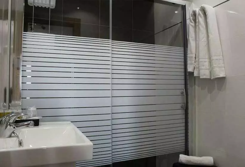 Standard Yhden Hengen Huone, Hospedium Hotel Continental