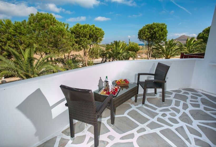 수피리어 룸, Asteras Paradise