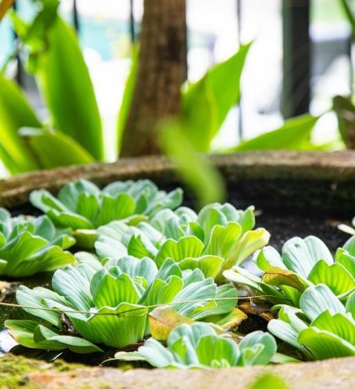 Апартаменты 3 Спальни, Byron Lakeside Holiday Apartments