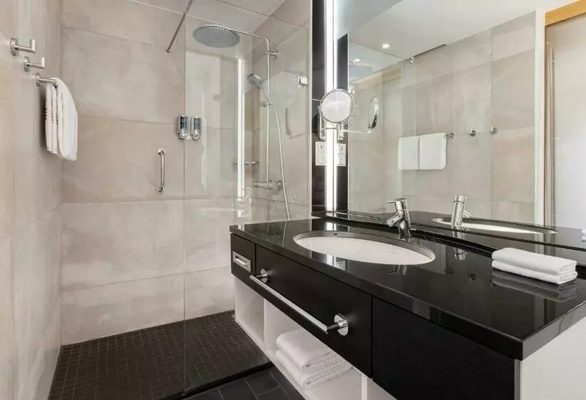 ビジネスルーム, Four Points By Sheraton Panoramahaus Dornbirn