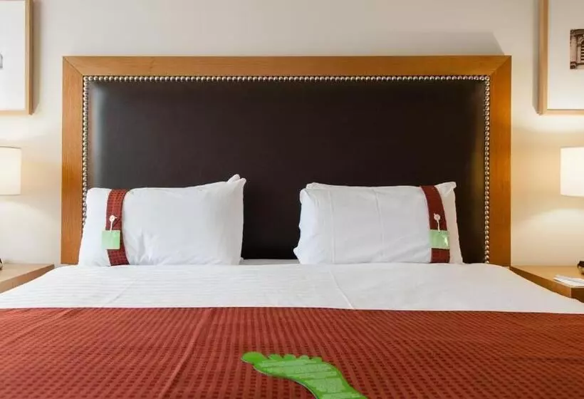Standard-huone King-vuode, Holiday Inn Dumfries, An Ihg