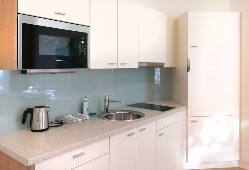 آپارتمان 1 خوابه, Riess City Rooms   Self Check In