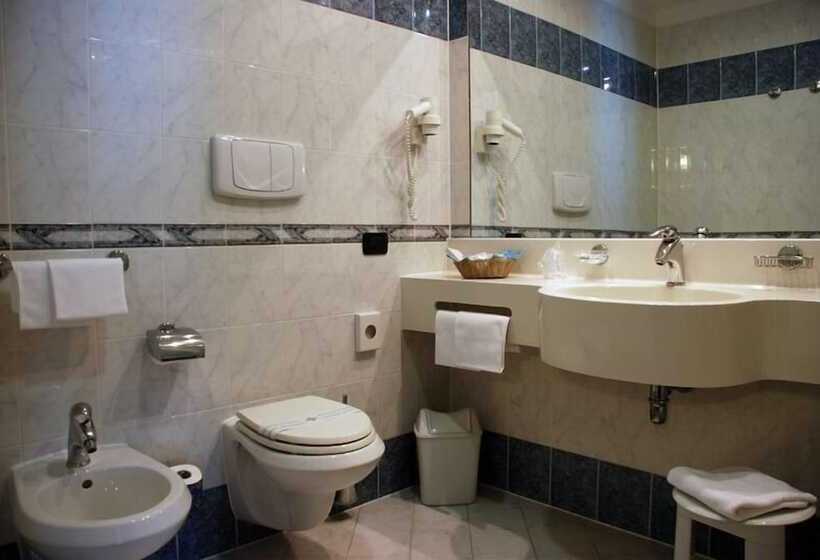 غرفة قياسية, Point Hotel Conselve